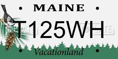 T125WH Maine License Plate