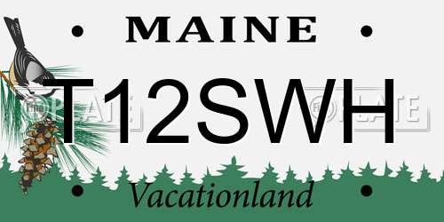 T12SWH Maine License Plate