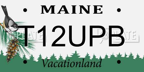 T12UPB Maine License Plate