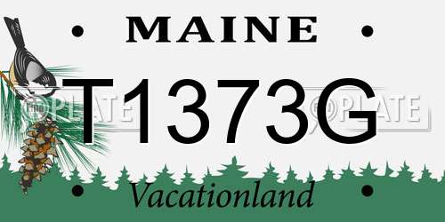 T1373G Maine License Plate