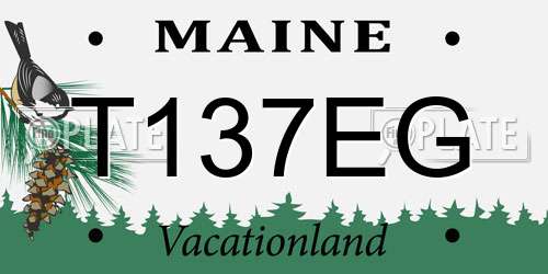 T137EG Maine License Plate