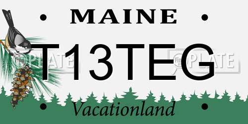 T13TEG Maine License Plate