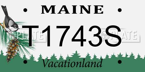 T1743S Maine License Plate