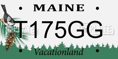 T175GG Maine License Plate