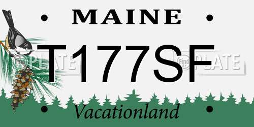 T177SF Maine License Plate