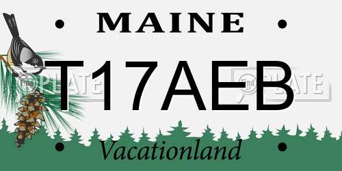 T17AEB Maine License Plate