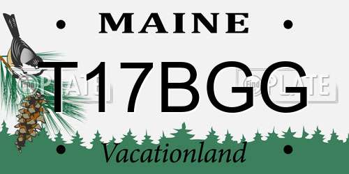 T17BGG Maine License Plate