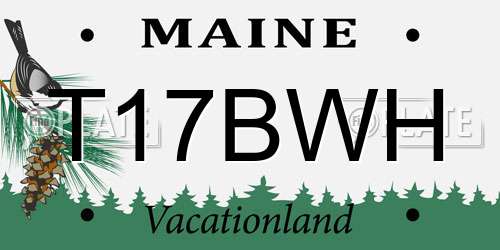 T17BWH Maine License Plate