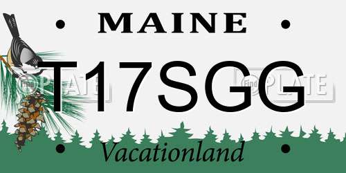 T17SGG Maine License Plate