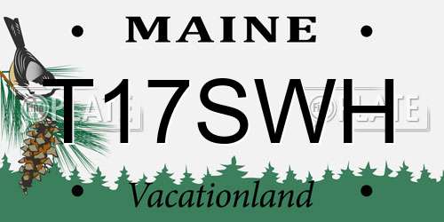 T17SWH Maine License Plate
