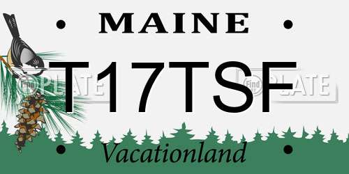 T17TSF Maine License Plate