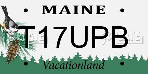 T17UPB Maine License Plate
