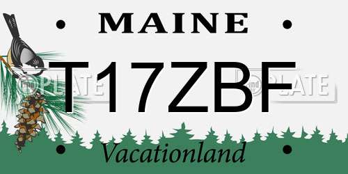 T17ZBF Maine License Plate