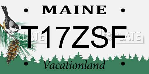 T17ZSF Maine License Plate