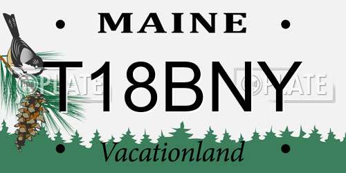 T18BNY Maine License Plate