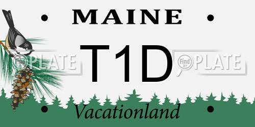 T1D Maine License Plate