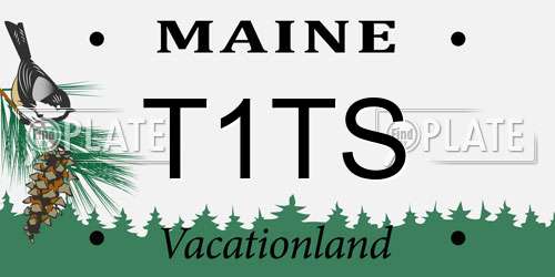 T1TS Maine License Plate