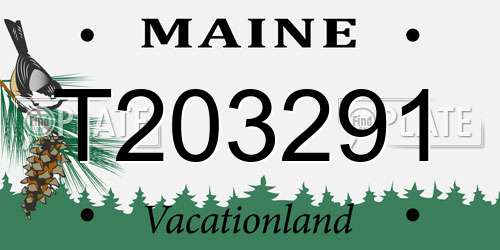 T203291 Maine License Plate