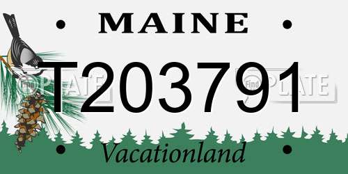 T203791 Maine License Plate