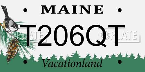 T206QT Maine License Plate