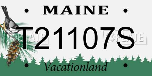 T21107S Maine License Plate