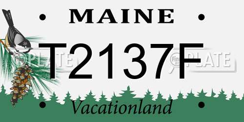 T2137F Maine License Plate