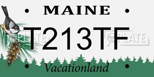 T213TF Maine License Plate