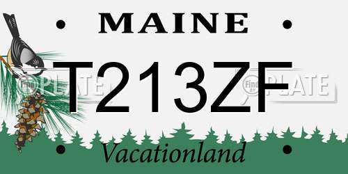 T213ZF Maine License Plate