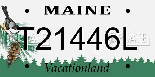 T21446L Maine License Plate