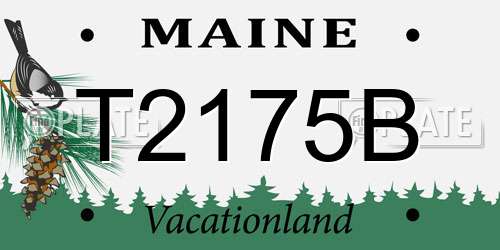 T2175B Maine License Plate