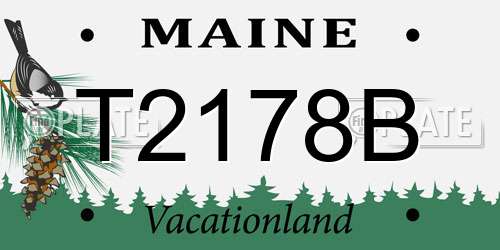 T2178B Maine License Plate