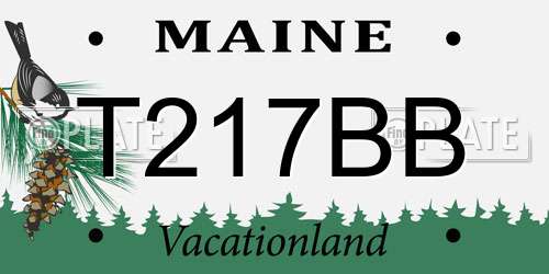 T217BB Maine License Plate