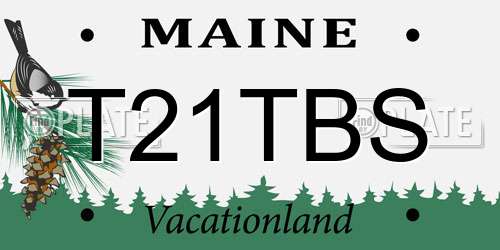 T21TBS Maine License Plate