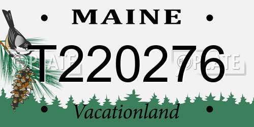 T220276 Maine License Plate