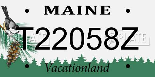 T22058Z Maine License Plate