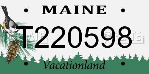 T220598 Maine License Plate
