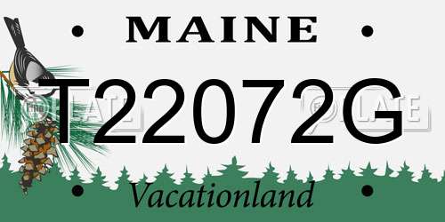 T22072G Maine License Plate