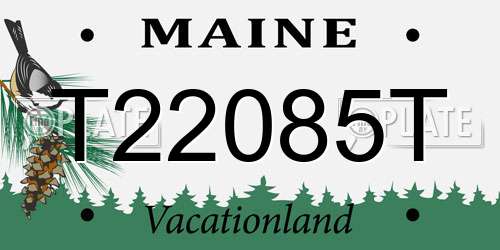 T22085T Maine License Plate