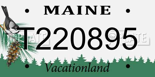T220895 Maine License Plate