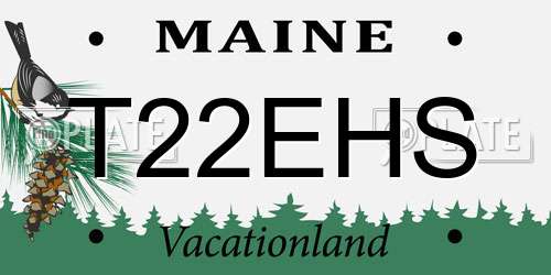 T22EHS Maine License Plate