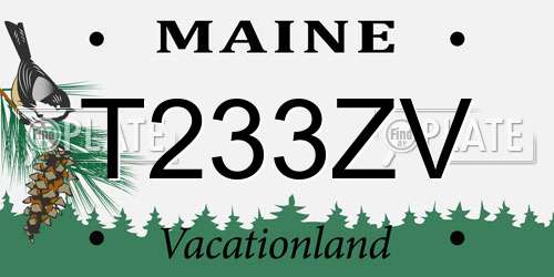 T233ZV Maine License Plate