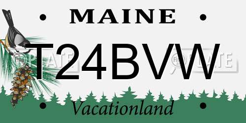 T24BVW Maine License Plate