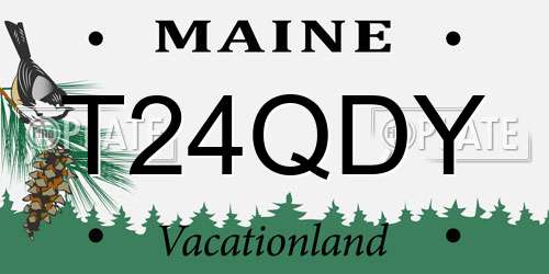 T24QDY Maine License Plate