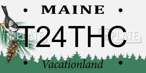 T24THC Maine License Plate