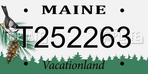 T252263 Maine License Plate