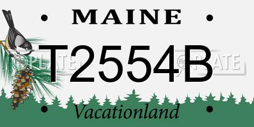 T2554B Maine License Plate