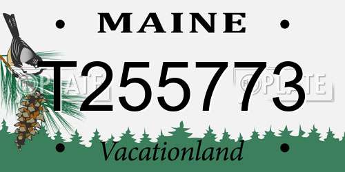 T255773 Maine License Plate