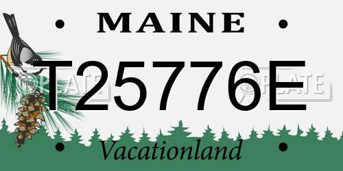 T25776E Maine License Plate