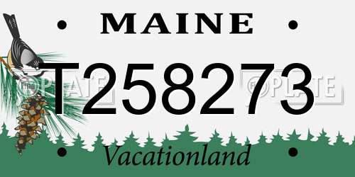 T258273 Maine License Plate