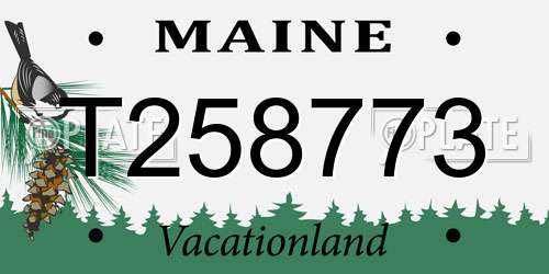 T258773 Maine License Plate